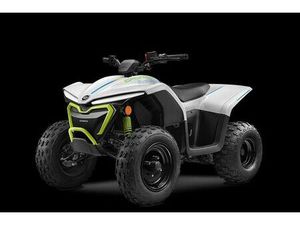 NEUFAHRZEUG CF CFORCE EV 110