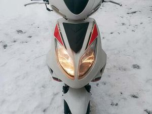 BEELINE VELOCE GT 50