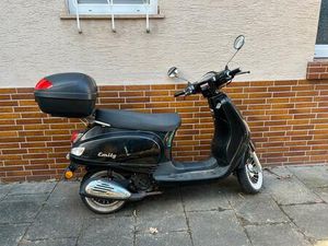 LUXXON EMILY 50 CCM ROLLER MIT TOPCASE - FAHRBEREIT