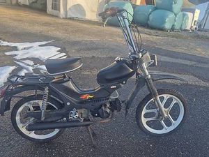 ZU VERKAUFEN PONY CROSS CANTON LUCERNE -