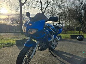 SUZUKI 650 CC SV-S