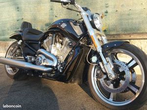 V-ROD MUSCLE 1250 CM2