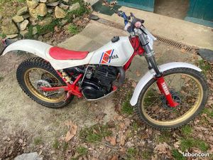 YAMAHA TY 250