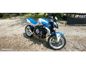 MV AGSUTA 800 BRUTALE EAS ITALIA