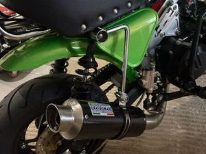 MONKEY GORILLA SKAYTEAM