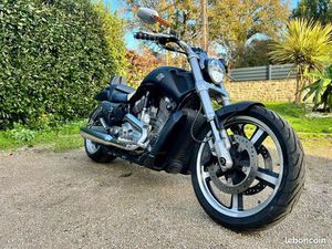 HARLEY 1250 VROD MUSCLE