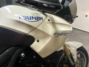 TRIUMPH TIGER