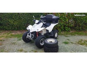 VEND QUAD 250 MAXXER HOMOLOGUÉ ROUTE EN L'ÉTAT 1800 A DÉBATTRE