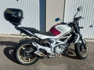 SUZUKI GLADIUS 650 FUSHIA