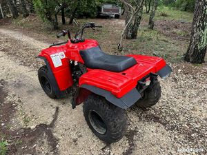 QUAD YAMAHA, 250 BIG BEAR TRACKER