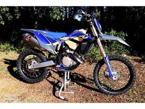 SHERCO 250 SEF FACTORY 2024