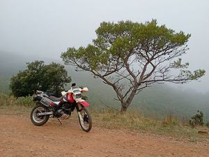 DR 650 DJEBEL DAKAR
