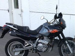 HONDA DOMINATOR