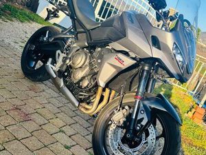 660 TRIUMPH TIGER SPORT