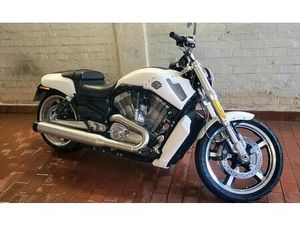 VROD MUSCLE BAUJAHR SEPT. 2017