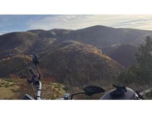 SCRAMBLER 1100 SPORT (2018 - 20)