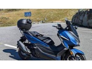 FORZA 350 (2022 - 24)