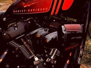 STREET BOB FXBBS 114