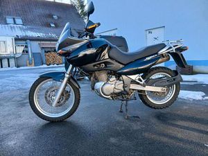 SUZUKI XF 650 FREEWIND