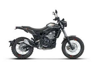 ALP X 4T 2025 DARK GREY