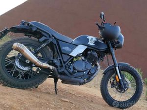 BRIXTON FELSBERG 250