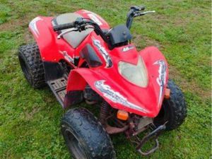 QUAD 125 HOMOLOGUÉ