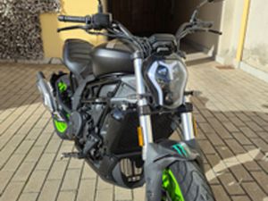 BENELLI 502C 2019