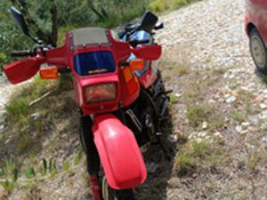 SUZUKI DR 600