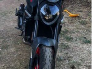 DUCATI MONSTER