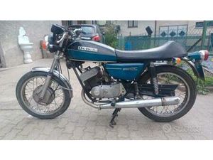 BENELLI 2C 250 - 1975