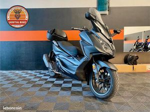 FORZA FULL OPTIONS GARANTIE 6 MOIS