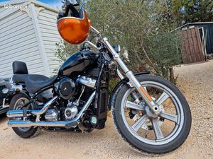 SOFTAIL STANDARD