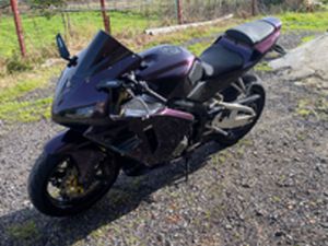 CBR 600RR
