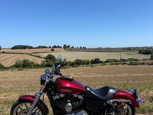 HARLEY SPORTSTER 1200 / TRÈS BON ÉTAT ??