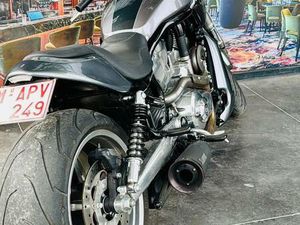 ② HARLEY VROD MUSCLE