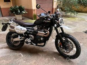 TRIUMPH SCRAMBLER - 2021