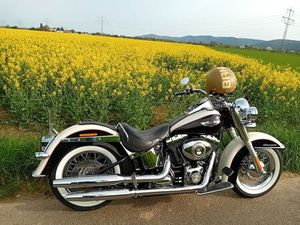 HARLEY-DAVIDSON SOFTAIL DELUXE 5HD MIT ZERTIFIKAT! TOP ZUSTAND