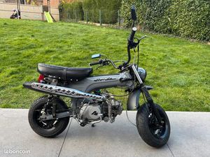 SKYTEAM 125 DAX GRIS NARDO