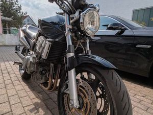 HONDA HORNET HORNET 900 SAMMLERZUSTAND 1.HD TÜV 10/26