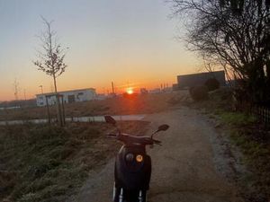 REX RS 900. ROLLER MOFA