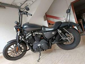 HARLEY DAVIDSON - SPORTSTER 883 IRON