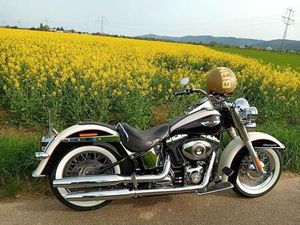 HARLEY-DAVIDSON SOFTAIL DELUXE 5HD MIT ZERTIFIKAT! TOP ZUSTAND