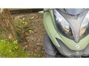 QUADRO 3 350 (2017 - 18)