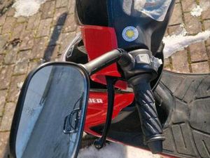 CIITY LEADER ROLLER 25 KM/H ALPHA MOTORS