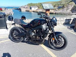 YAMAHA, XSR900, 2023, 890 (CC)