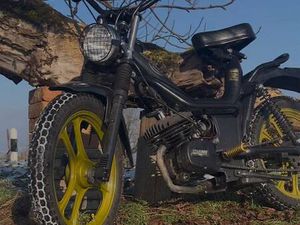 MALAGUTI FIFTY CANTON ARGOVIE -