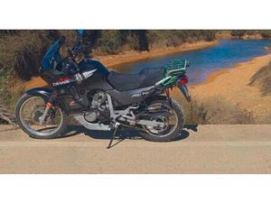 HONDA - TRANSALP 600 RALLY