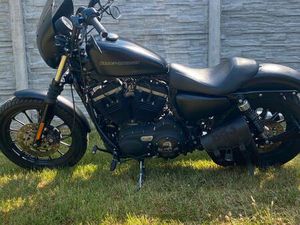 VERKAUFE HARLEY DAVIDSON SPORSTER XL883N IRON 22170 KM
