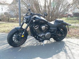 BENDA CHINCHILLA 500