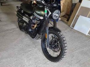 TRIUMPH - SCRAMBLER